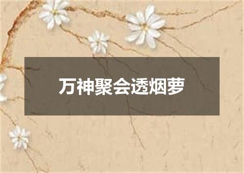 万神聚会透烟萝