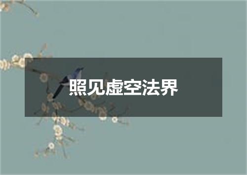 照见虚空法界