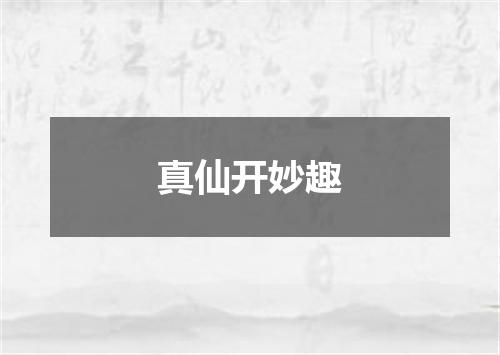 真仙开妙趣