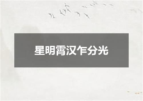 星明霄汉乍分光