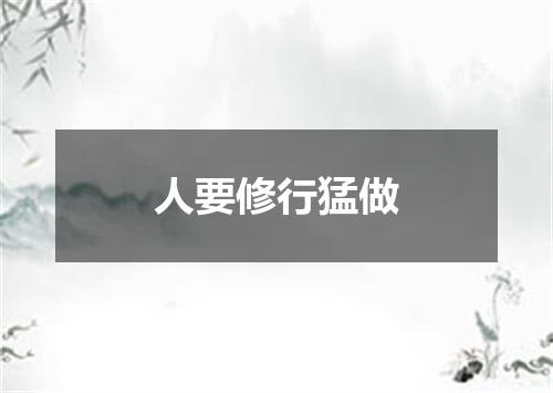 人要修行猛做
