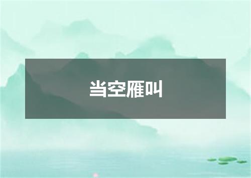 当空雁叫