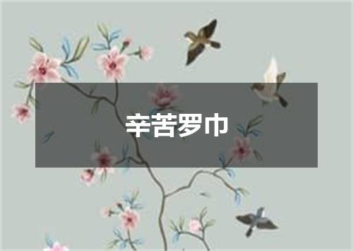 辛苦罗巾
