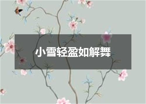 小雪轻盈如解舞