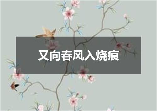 又向春风入烧痕