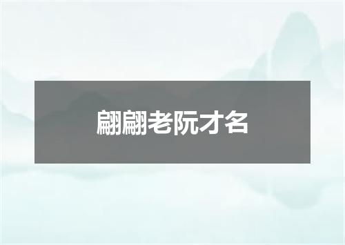 翩翩老阮才名