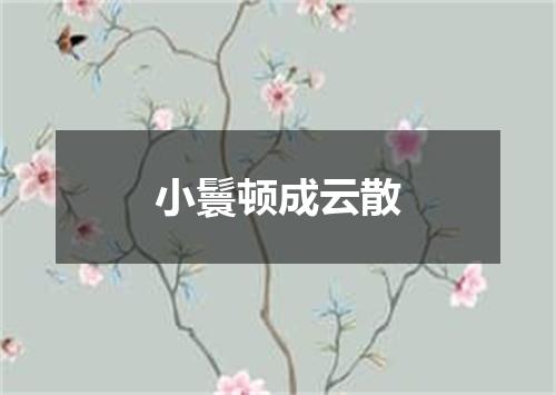 小鬟顿成云散