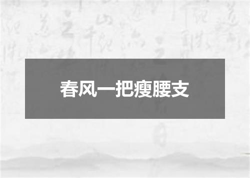 春风一把瘦腰支