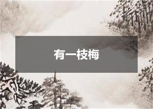 有一枝梅