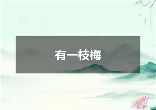 有一枝梅