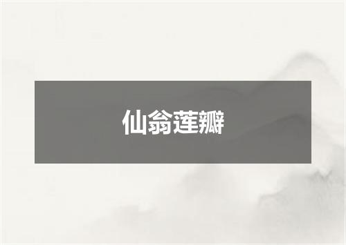 仙翁莲瓣