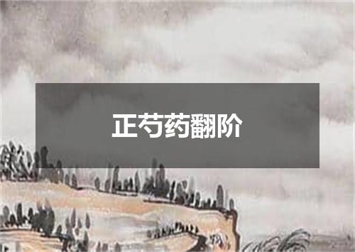 正芍药翻阶