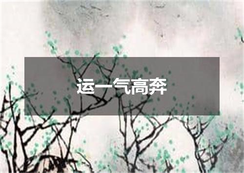 运一气高奔