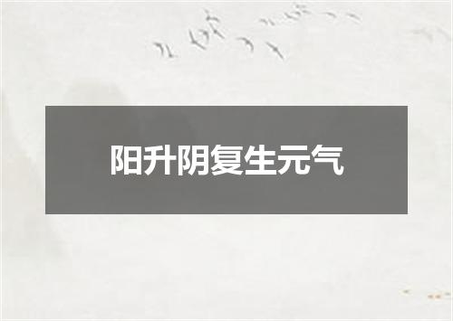 阳升阴复生元气