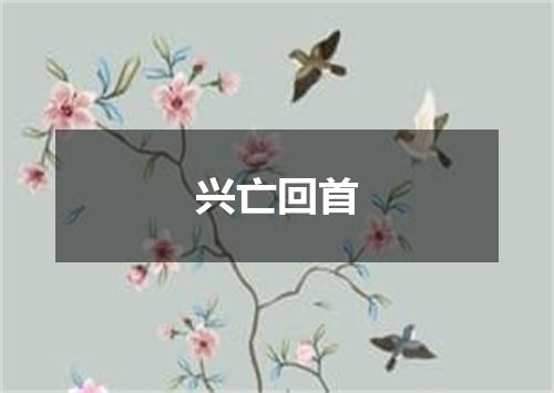兴亡回首