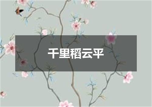 千里稻云平