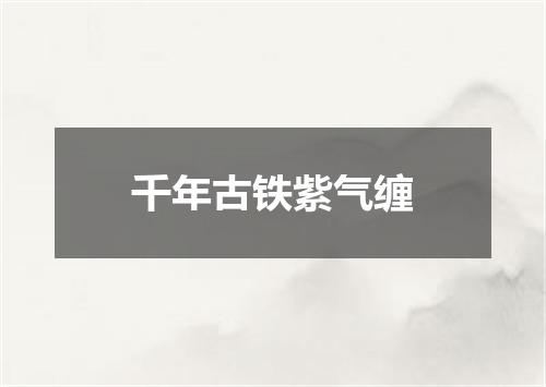 千年古铁紫气缠