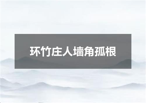 环竹庄人墙角孤根