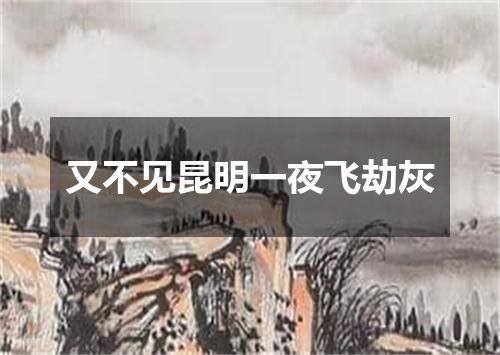 又不见昆明一夜飞劫灰