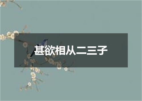 甚欲相从二三子
