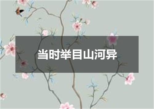 当时举目山河异