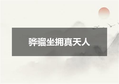 骅骝坐拥真天人
