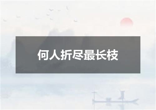 何人折尽最长枝