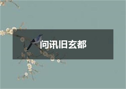 问讯旧玄都
