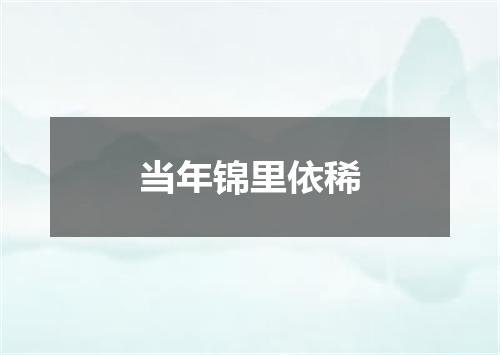 当年锦里依稀