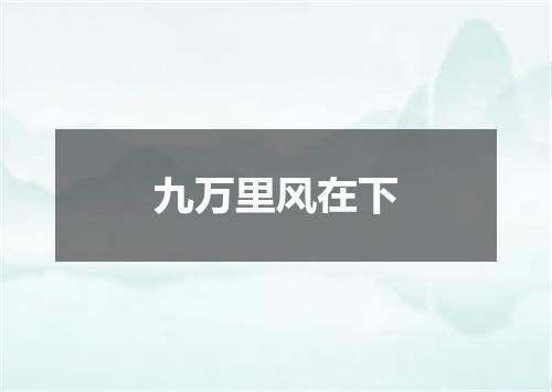 九万里风在下