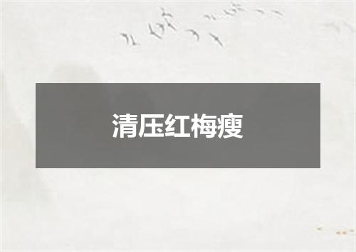 清压红梅瘦
