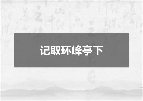 记取环峰亭下