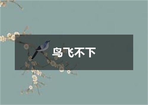 鸟飞不下