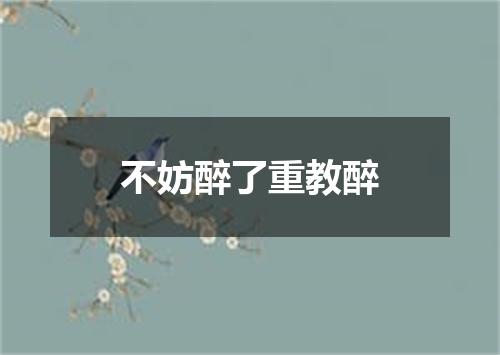 不妨醉了重教醉