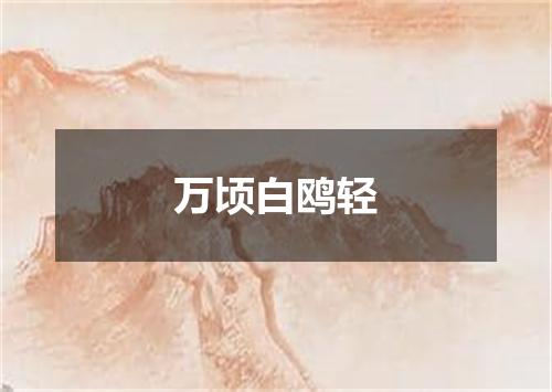 万顷白鸥轻