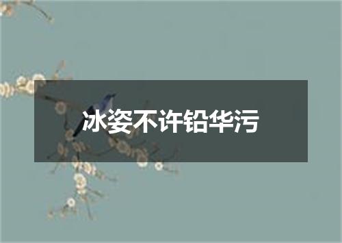 冰姿不许铅华污