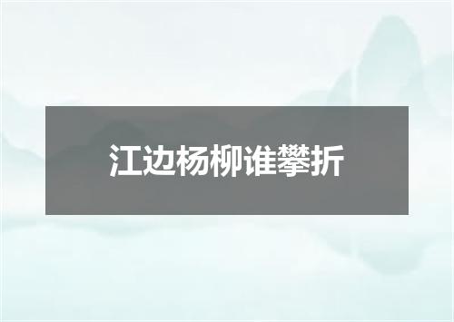 江边杨柳谁攀折