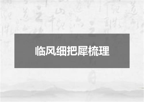 临风细把犀梳理