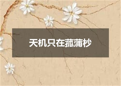 天机只在菰蒲杪