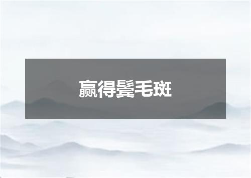 赢得鬓毛斑