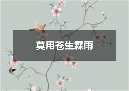 莫用苍生霖雨