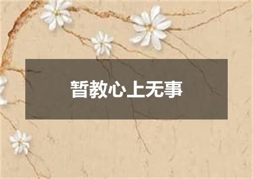 暂教心上无事