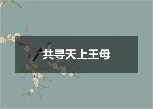 共寻天上王母