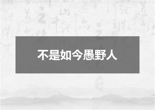 不是如今愚野人