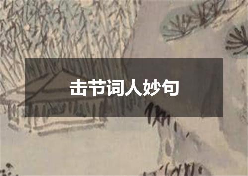 击节词人妙句
