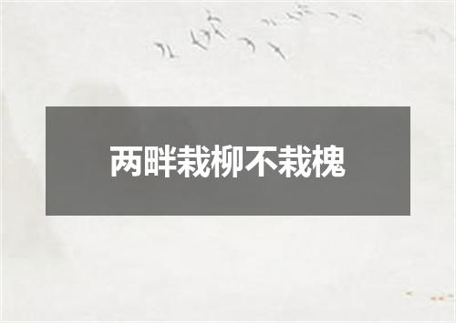 两畔栽柳不栽槐