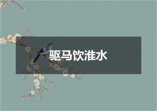 驱马饮淮水