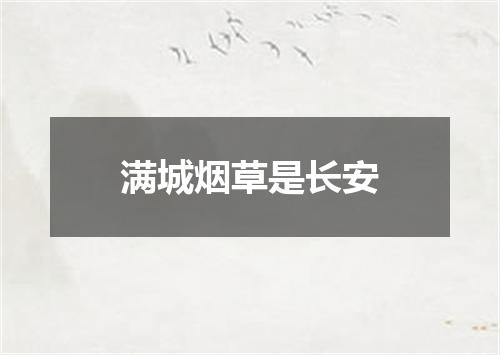 满城烟草是长安