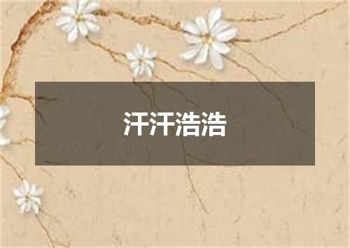 汗汗浩浩