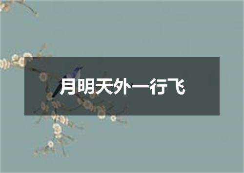 月明天外一行飞
